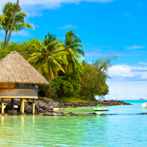 講師プロフィール